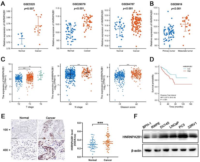 J Cancer Image