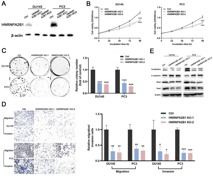 J Cancer Image