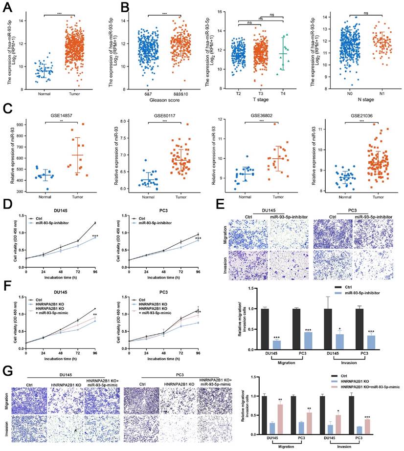 J Cancer Image