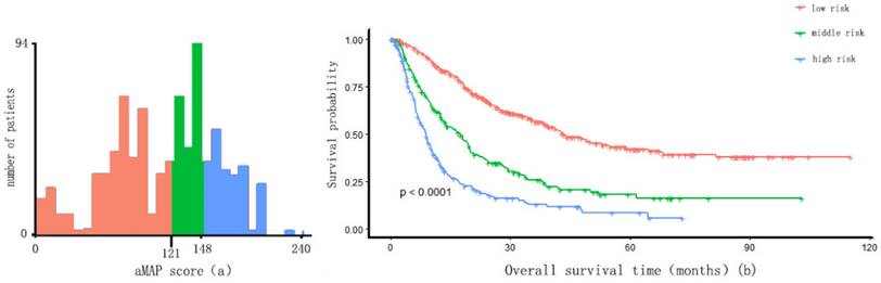 J Cancer Image