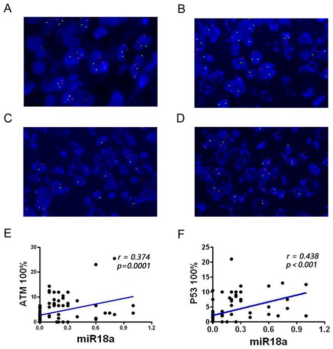 J Cancer Image