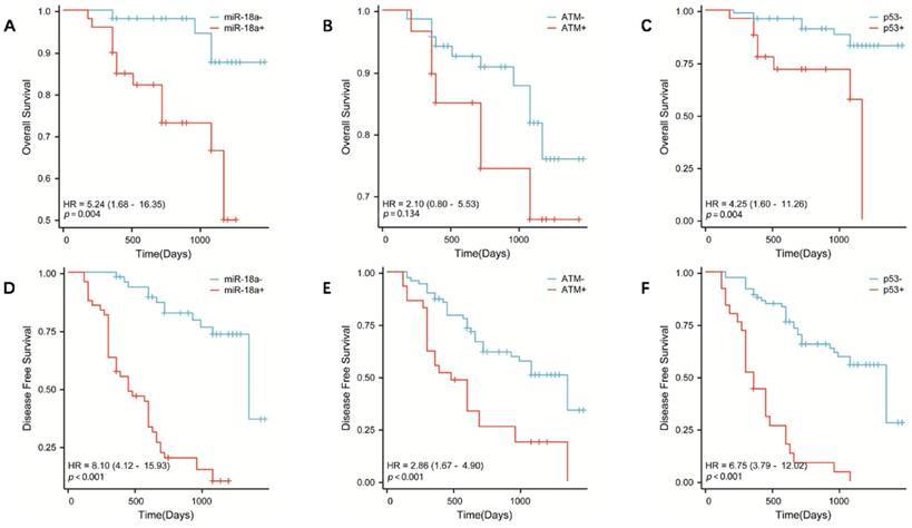 J Cancer Image