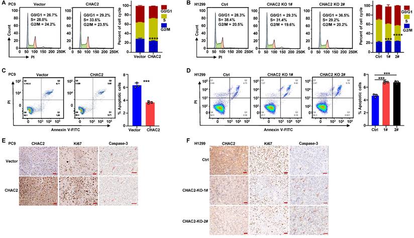 J Cancer Image