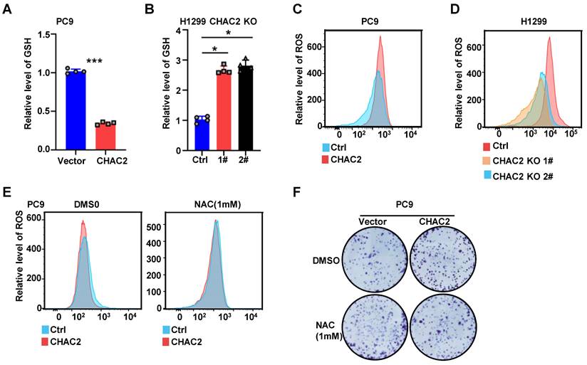 J Cancer Image