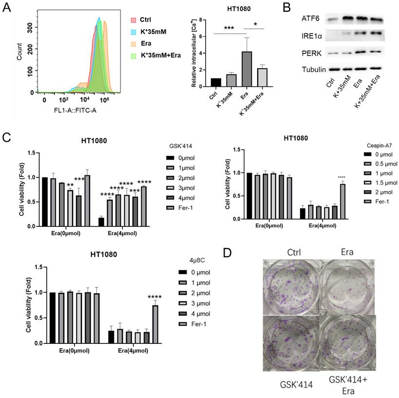 J Cancer Image