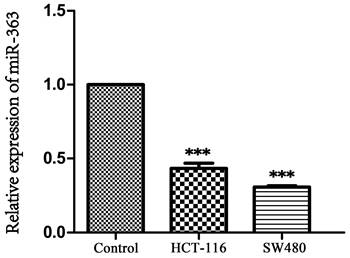 J Cancer Image