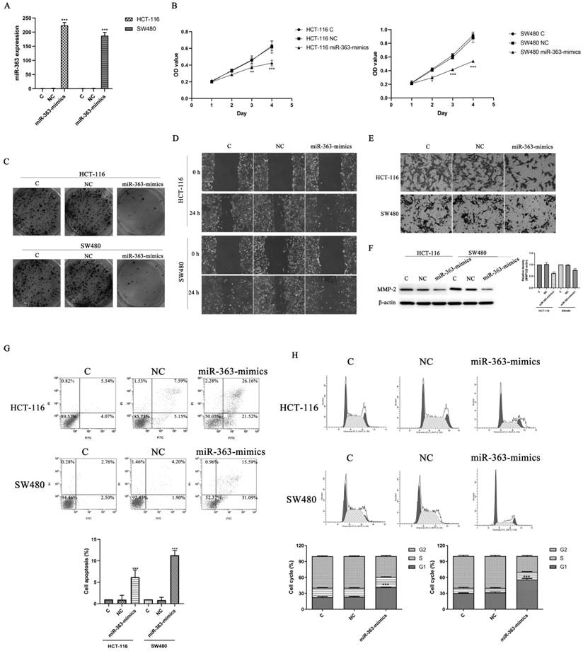 J Cancer Image