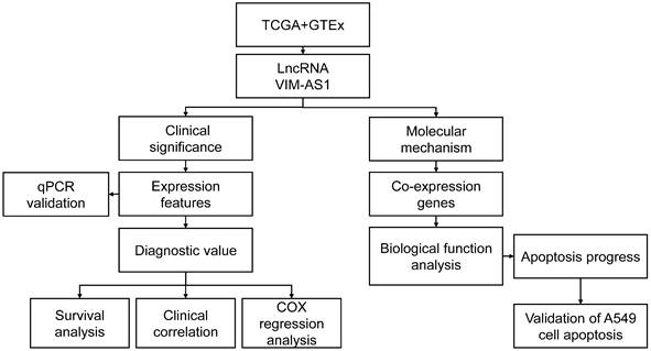 J Cancer Image