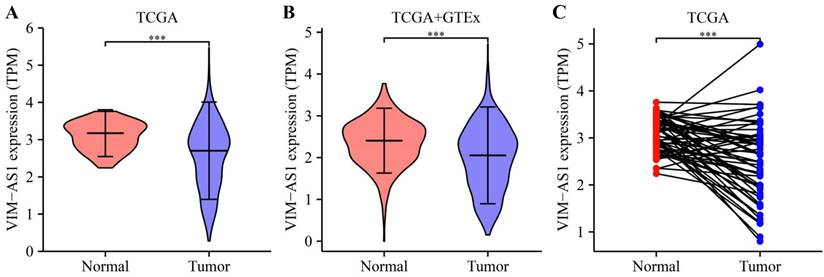 J Cancer Image