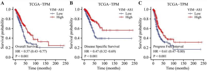 J Cancer Image