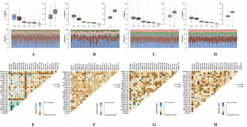 J Cancer Image