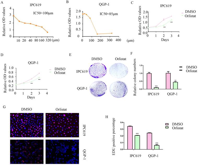 J Cancer Image