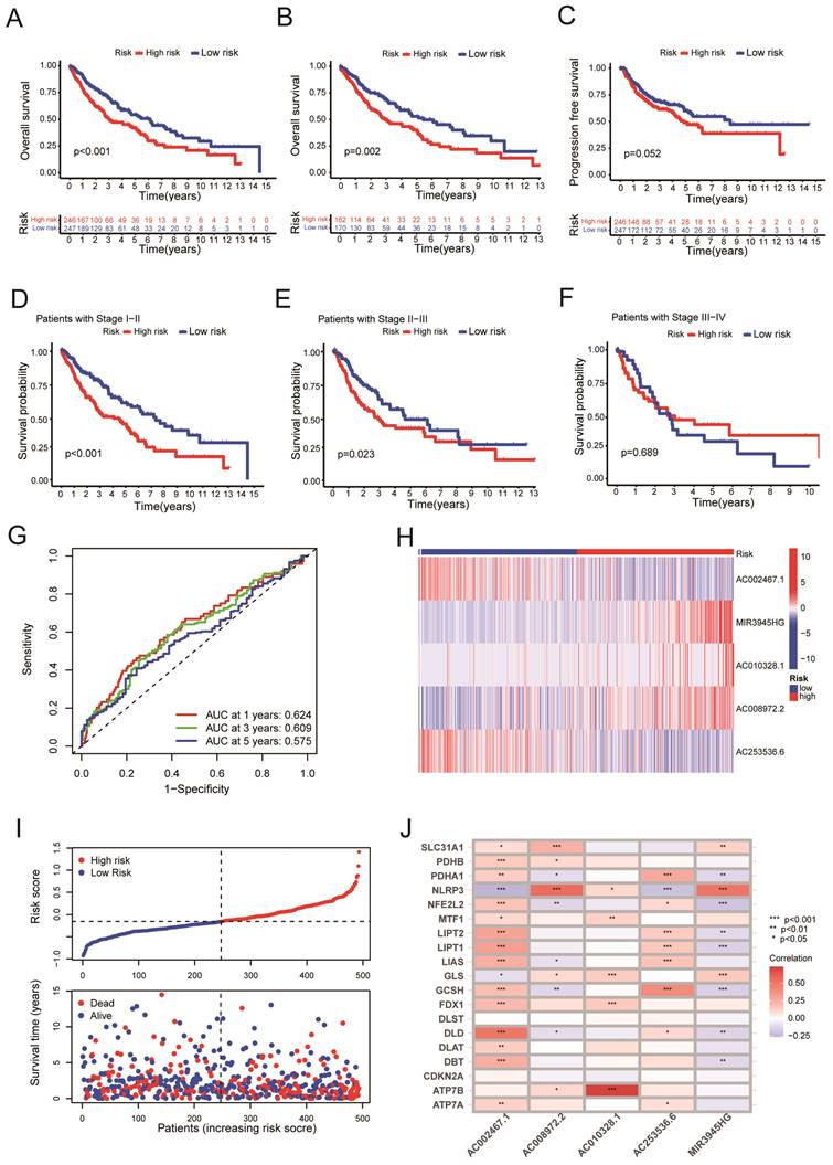 J Cancer Image