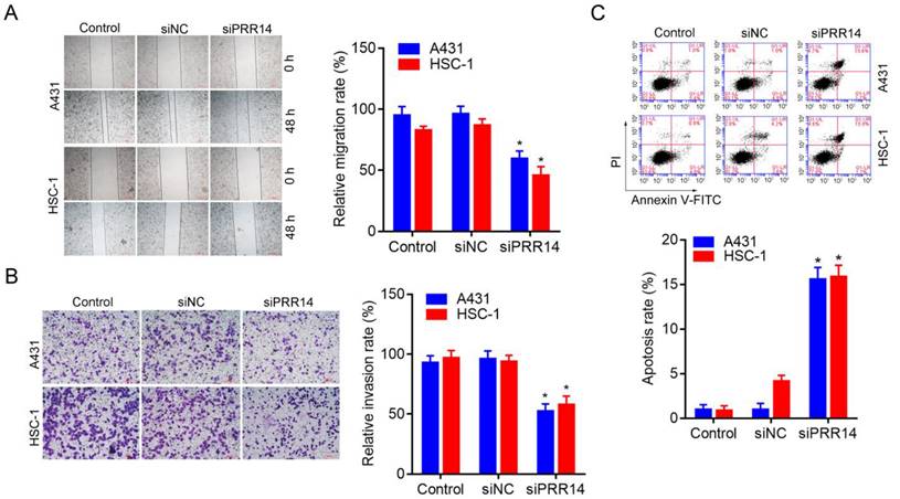 J Cancer Image