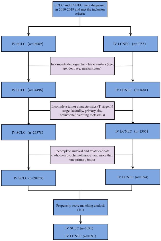 J Cancer Image