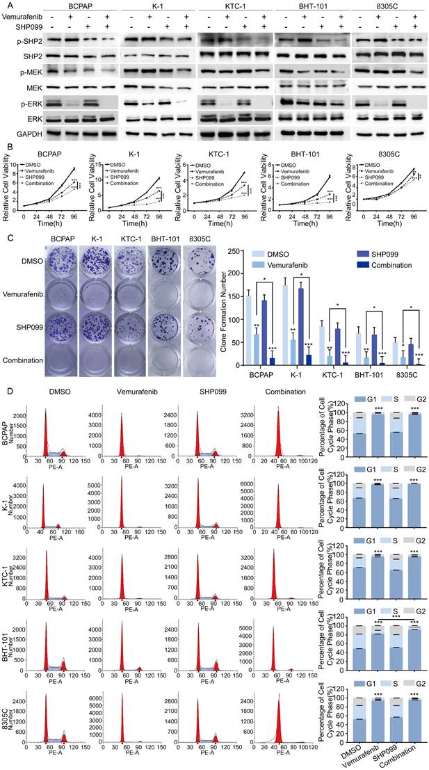 J Cancer Image