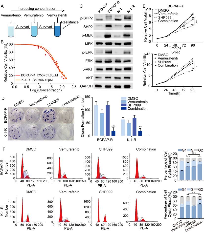 J Cancer Image