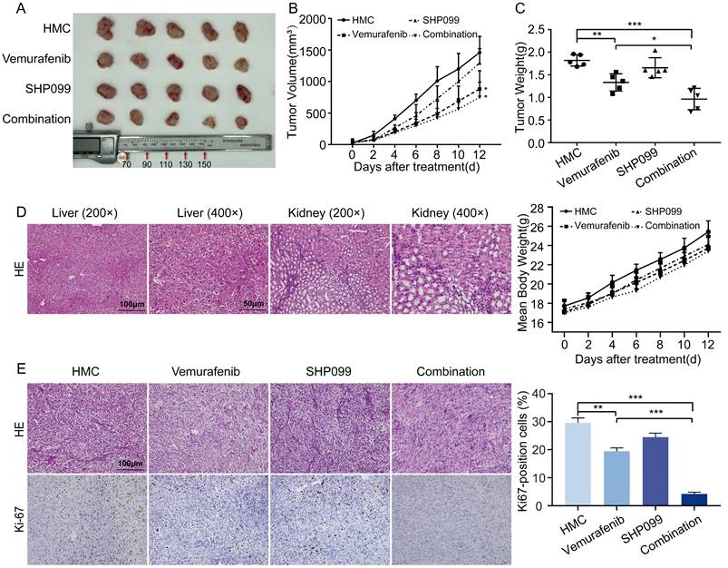 J Cancer Image