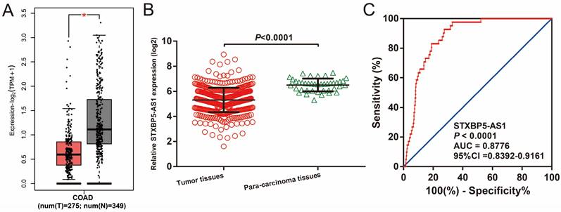 J Cancer Image