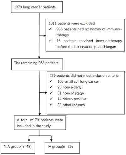 J Cancer Image