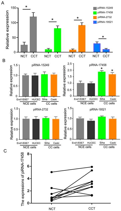 J Cancer Image