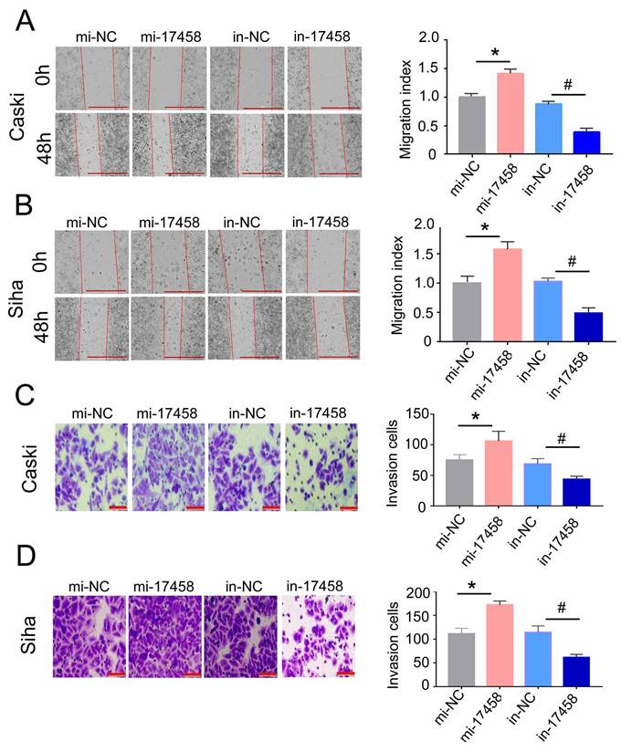 J Cancer Image