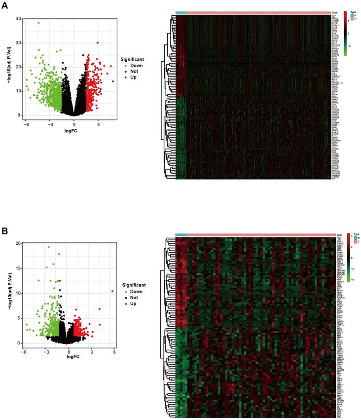 J Cancer Image