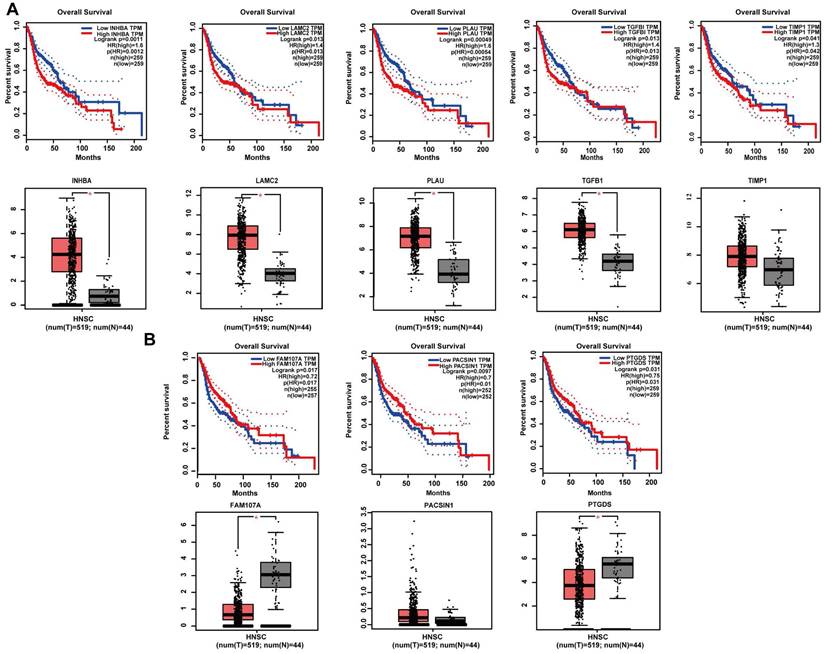 J Cancer Image