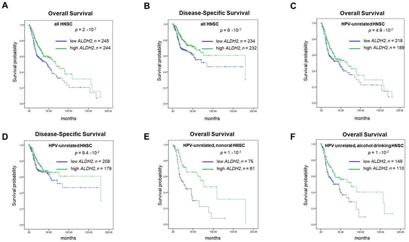 J Cancer Image