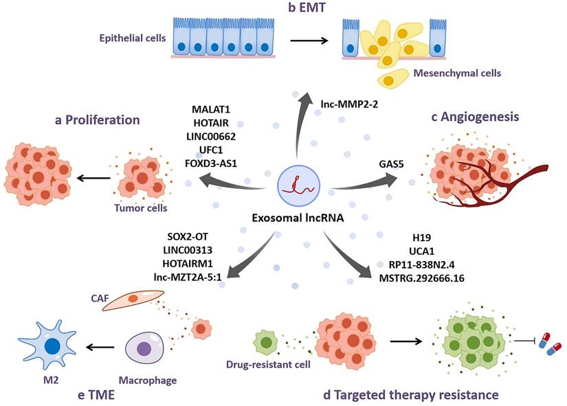 J Cancer Image