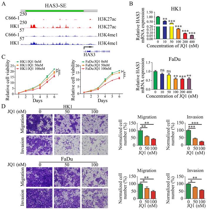 J Cancer Image