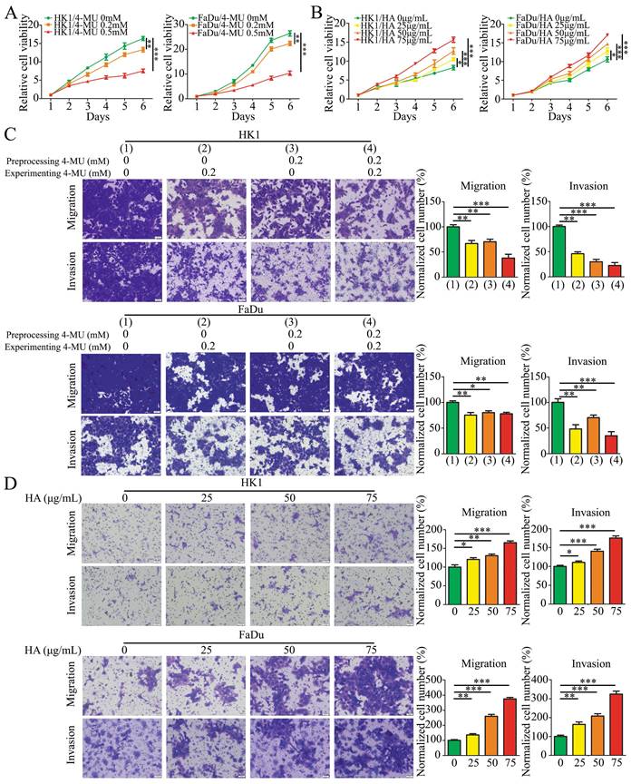 J Cancer Image