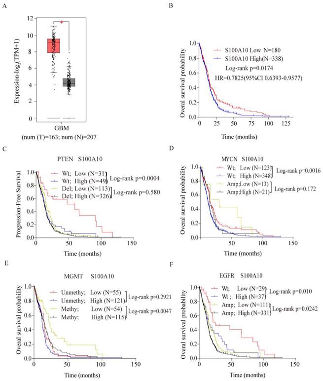 J Cancer Image