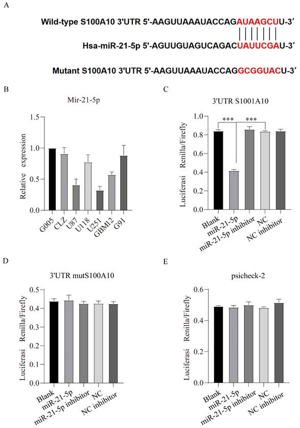 J Cancer Image