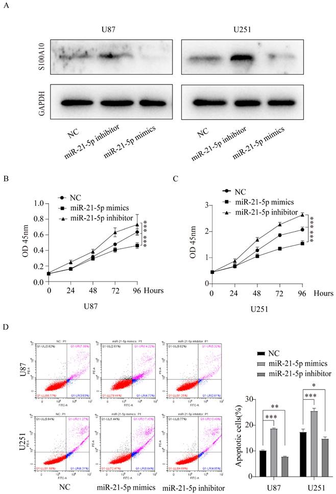 J Cancer Image