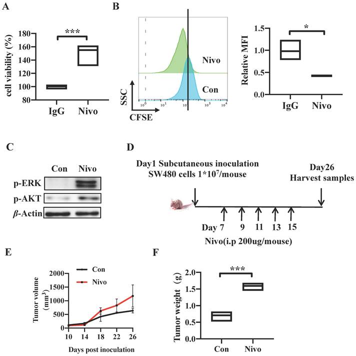 J Cancer Image