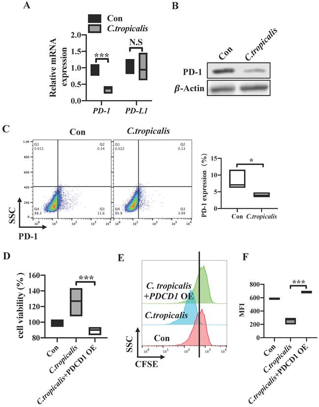 J Cancer Image