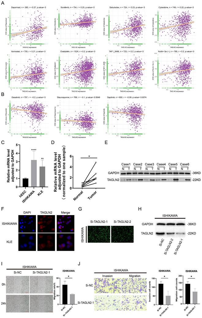 J Cancer Image