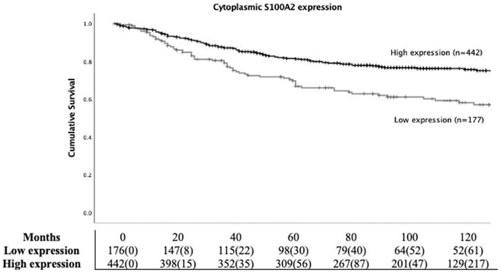 J Cancer Image