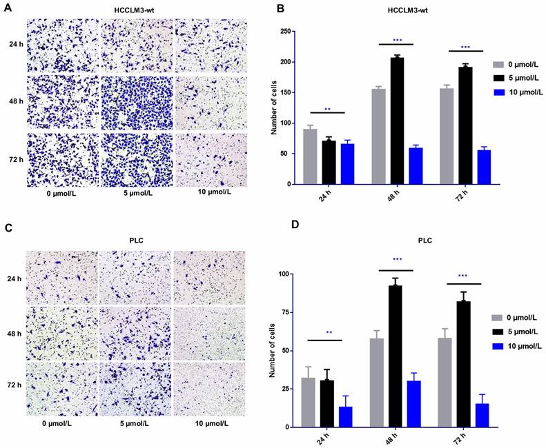 J Cancer Image