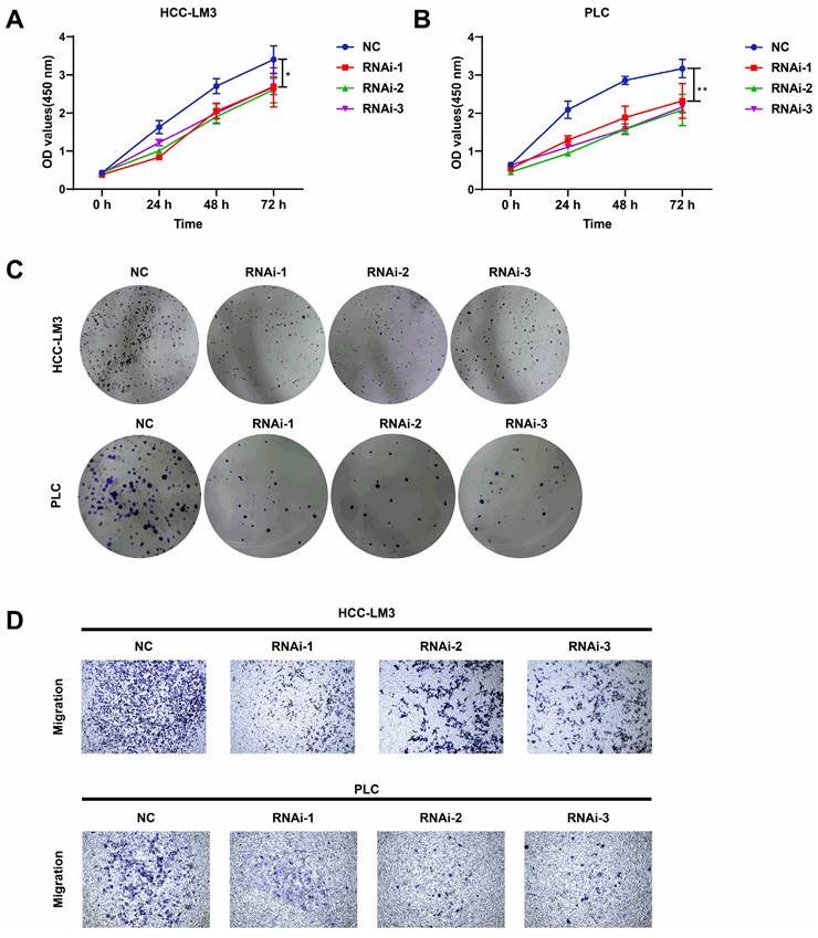 J Cancer Image