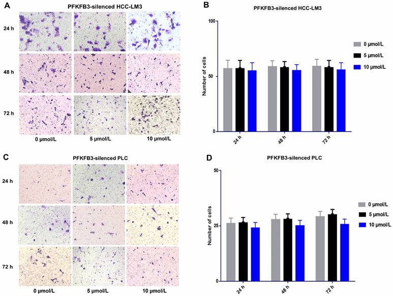 J Cancer Image