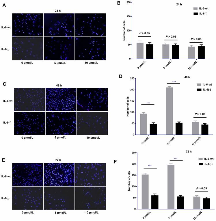 J Cancer Image