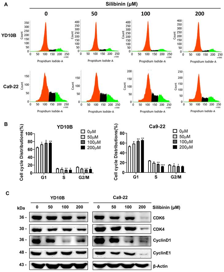 J Cancer Image