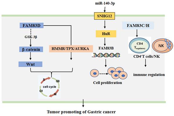 J Cancer Image