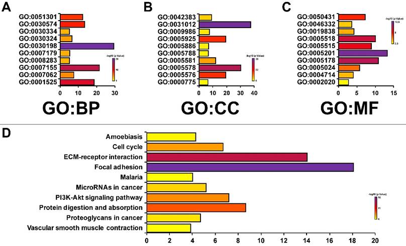 J Cancer Image