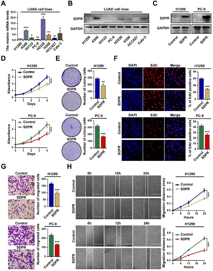 J Cancer Image