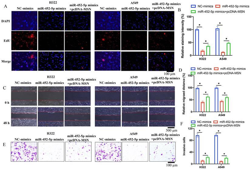 J Cancer Image