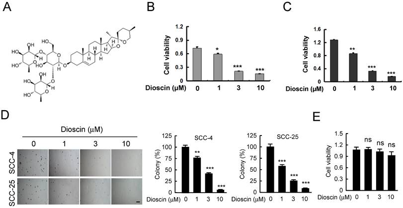 J Cancer Image