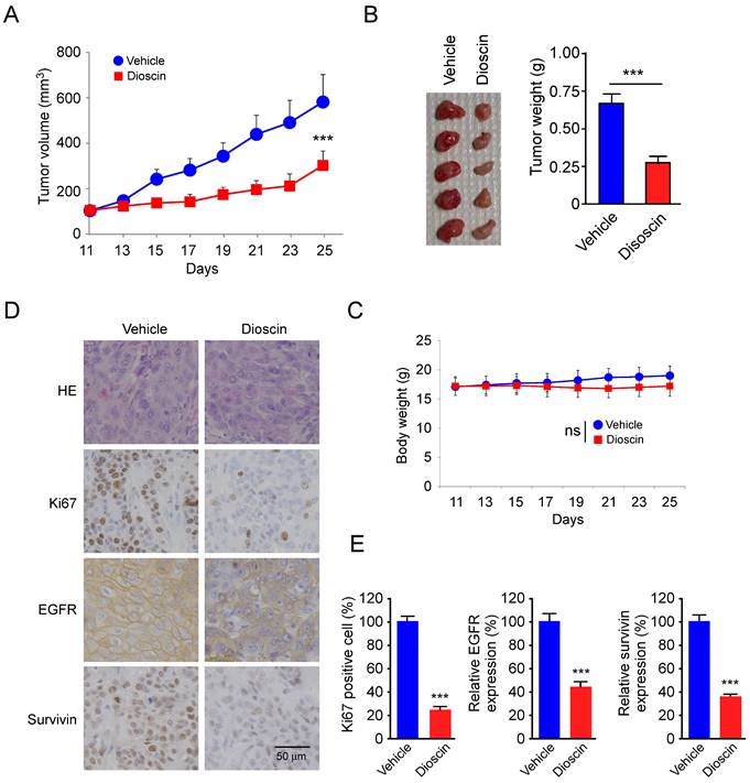 J Cancer Image